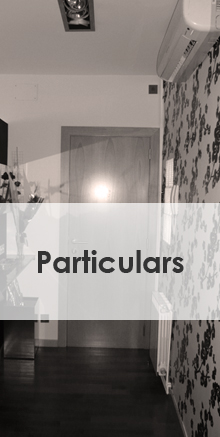 Particulars